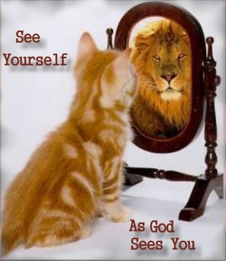 kittenlion